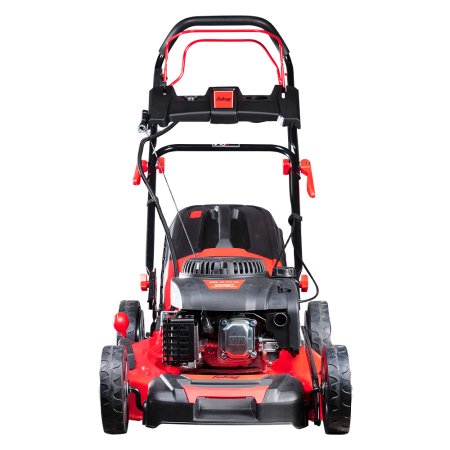 Газонокосилка бензиновая самоходная с электростартером FUBAG FPL 56 SM ES в Йошкар-Оле фото