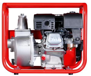 FUBAG Бензиновая мотопомпа для чистой воды PG 600 в Йошкар-Оле фото